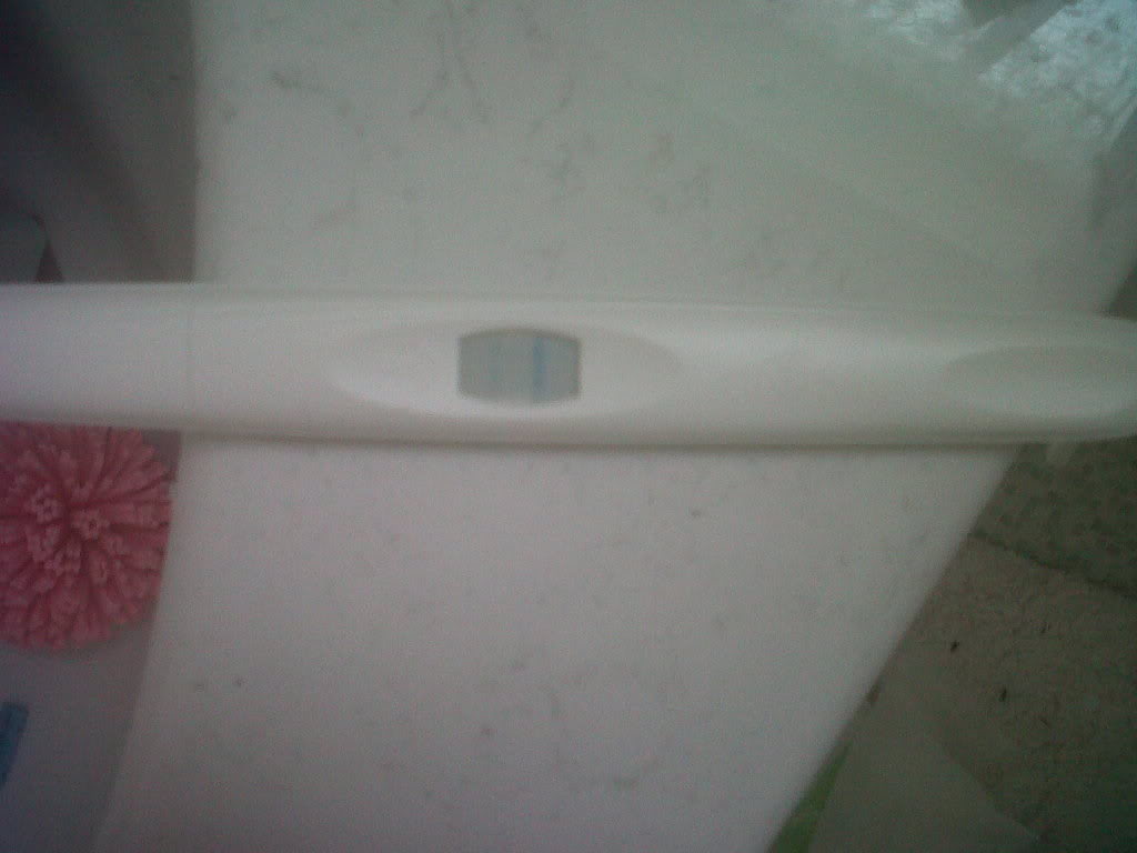 CD15 - Ovulation Success! IMG00052-20110529-1138