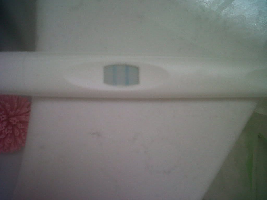 CD15 - Ovulation Success! Cd14135pm