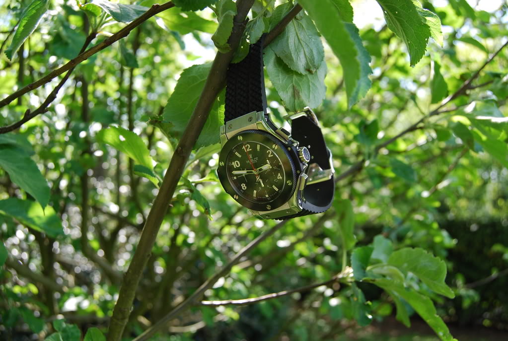 Feux de vos montres mécaniques théme écologie ! DSC_0098