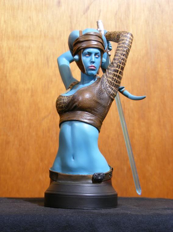 Shaak Ti and Aayla Secura mini busts for 2008! - Page 36