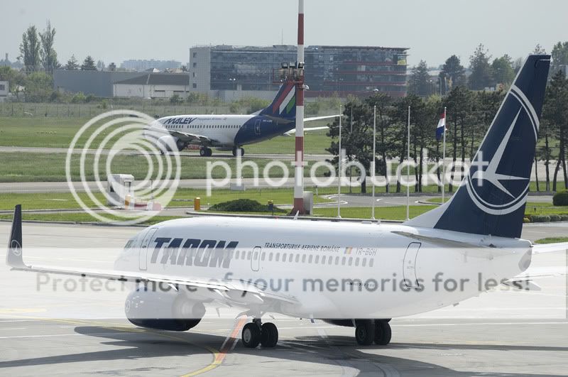 Aeroportul Bucuresti ( Henri Coanda/Otopeni )- Mai 2011 - Pagina 5 _D7C51436