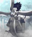 Giới thiệu về Naruto SasukeShuriken