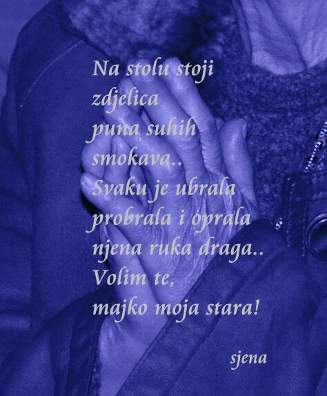 MOJA SVASTARA - Page 8 Majkostara