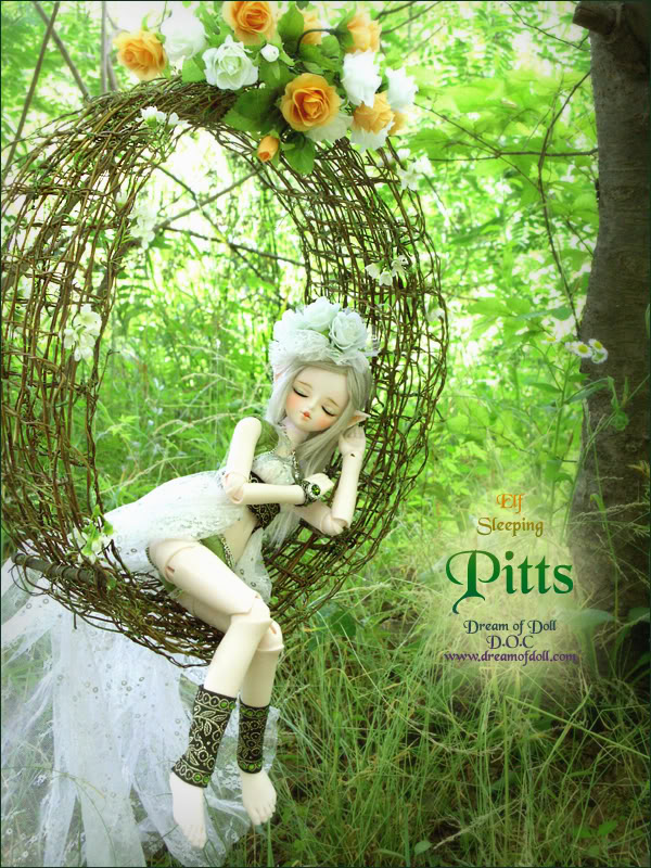 DREAM OF DOLL Pitt7