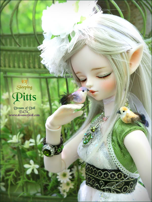 DREAM OF DOLL Pitts2