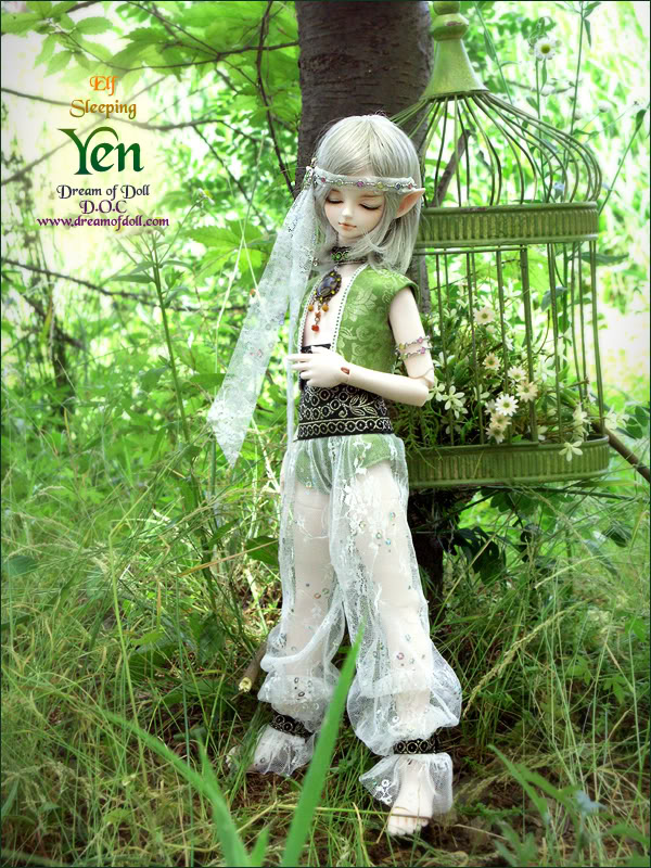 DREAM OF DOLL Yen4