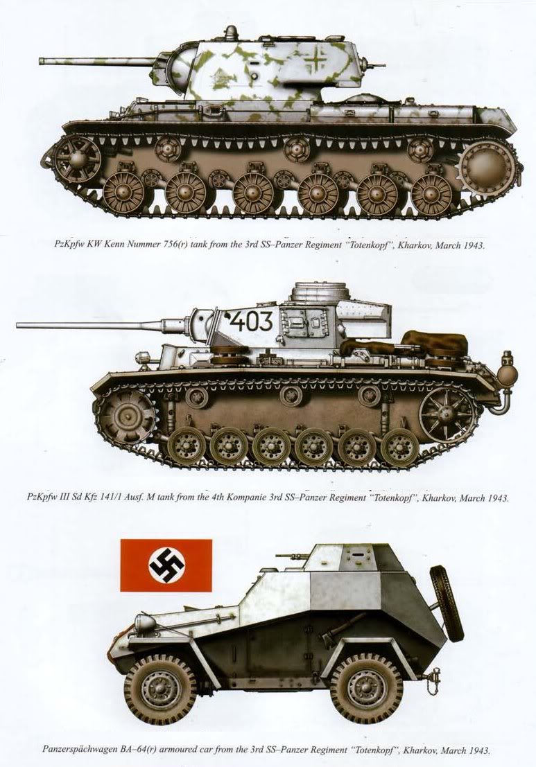 Equipamiento Blindado y Mecanizado de la División Totenkopf Dsr7