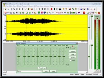 Diamond Cut Live Forensics v7.06 DiamondCutLiveForensicsv7