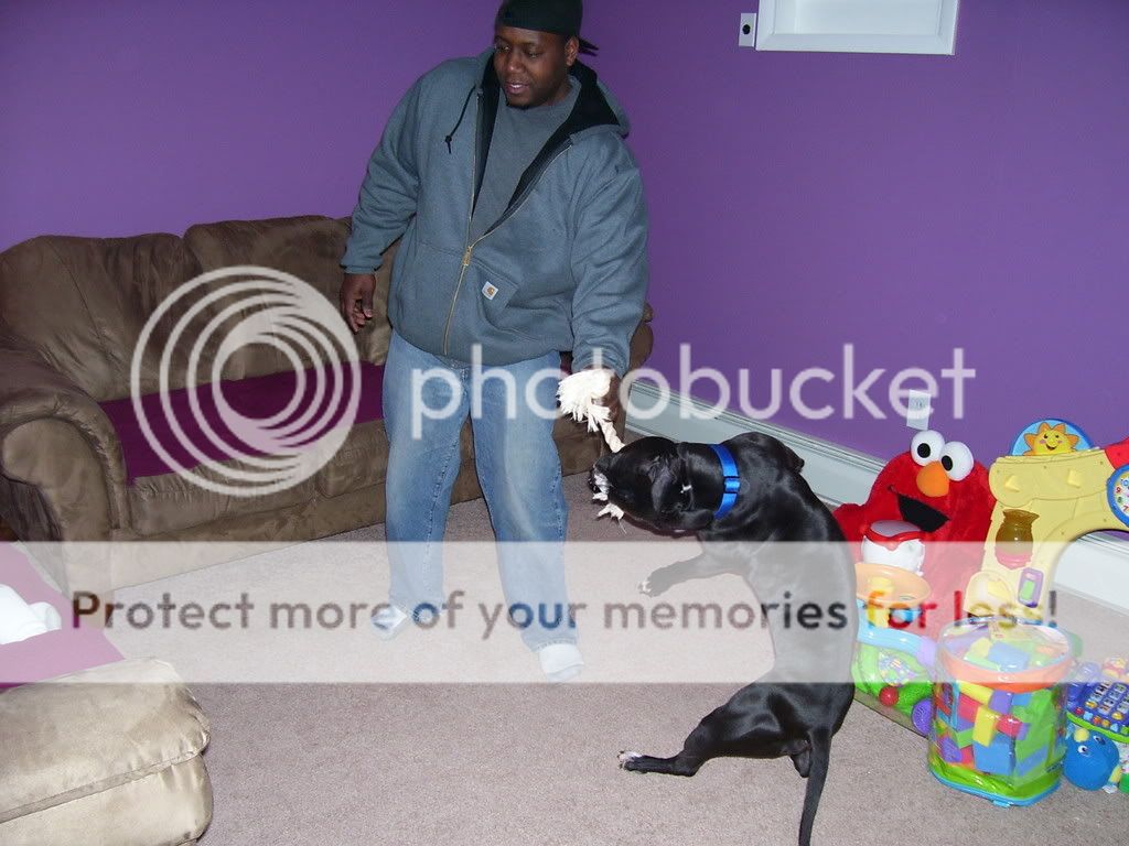 Photobucket