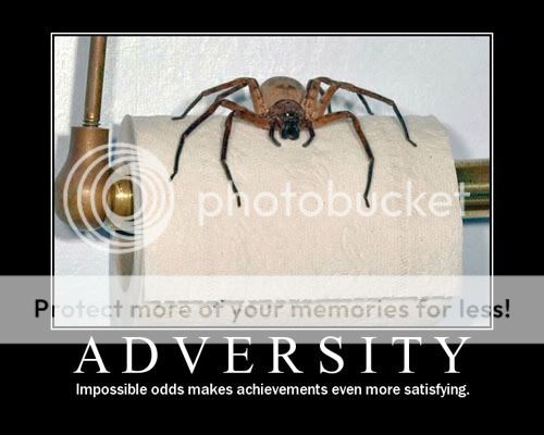 Motivational Poster for Adversity Pictures, Images and Photos
