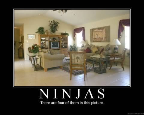 Motivational Poster for Ninjas Pictures, Images and Photos