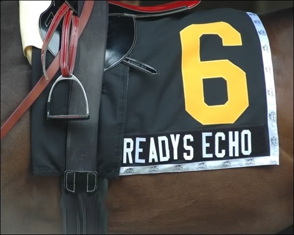 Ready's Echo (lygiosios lenktyns) ReadysechoclothCR