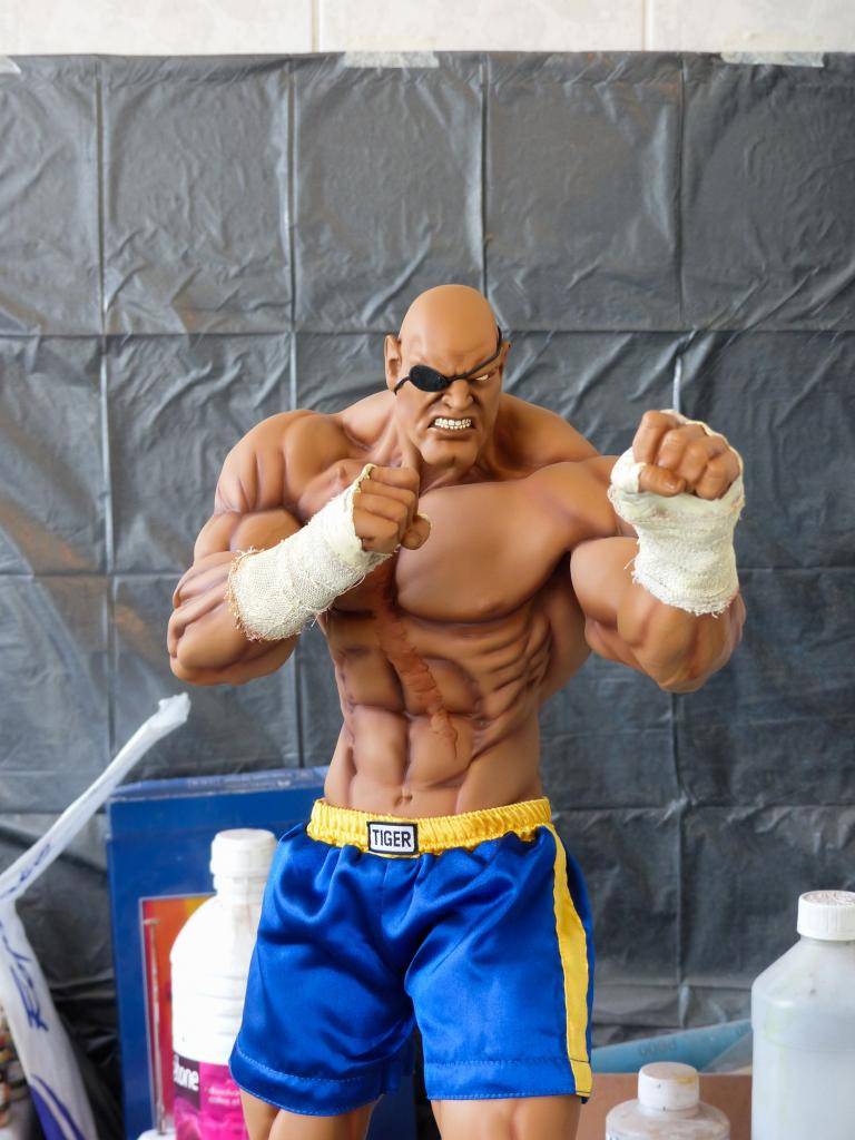 PopCultureShock Sagat Sideshow Exclusive Repaint P1020218-2