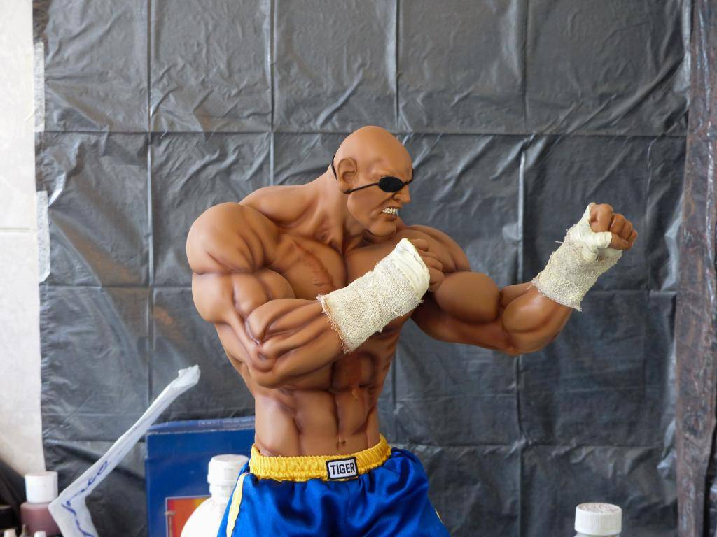 PopCultureShock Sagat Sideshow Exclusive Repaint P1020226-2