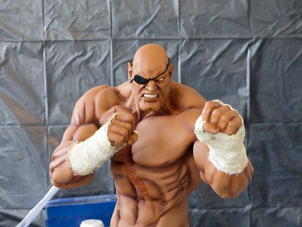 PopCultureShock Sagat Sideshow Exclusive Repaint P1020232-2