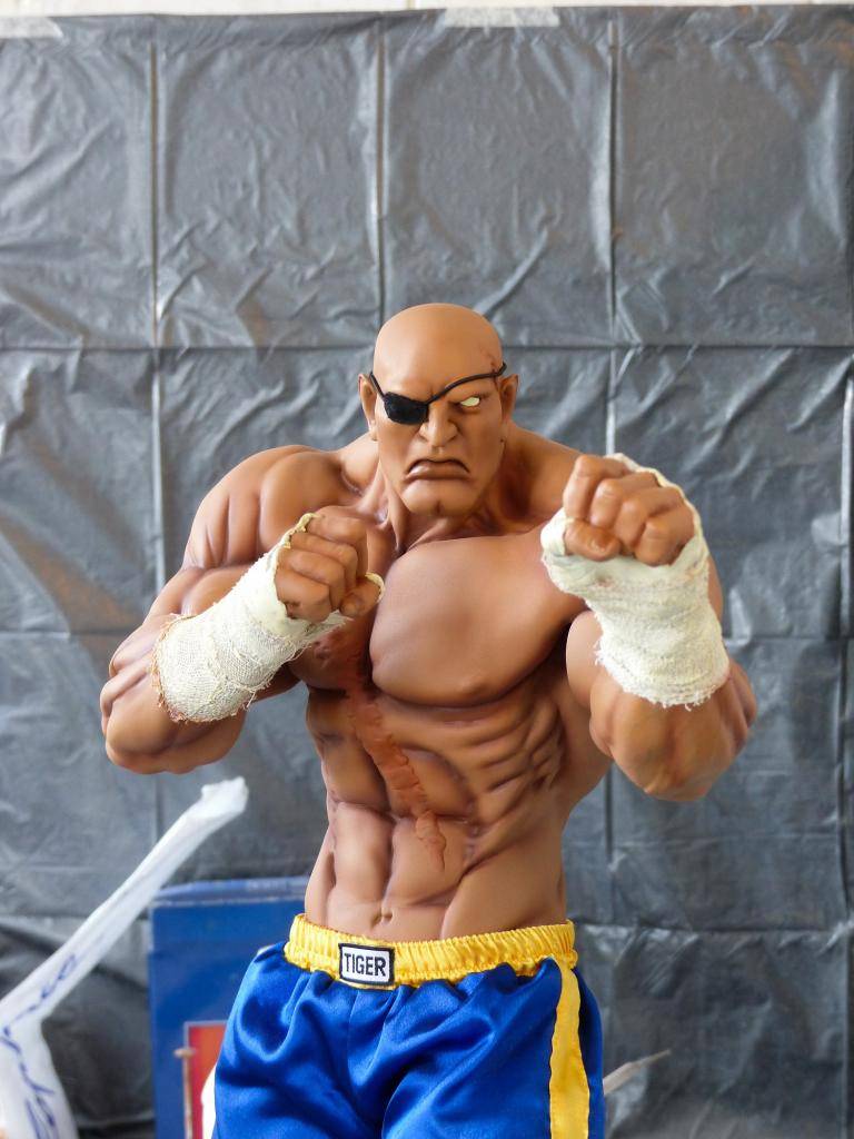 PopCultureShock Sagat Sideshow Exclusive Repaint P1020238-2