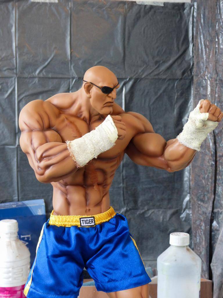 PopCultureShock Sagat Sideshow Exclusive Repaint P1020242-2