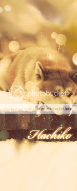 Hachi Looks For Mate At Young Age Or Owner (Please Please Rpg) Hachiko-1