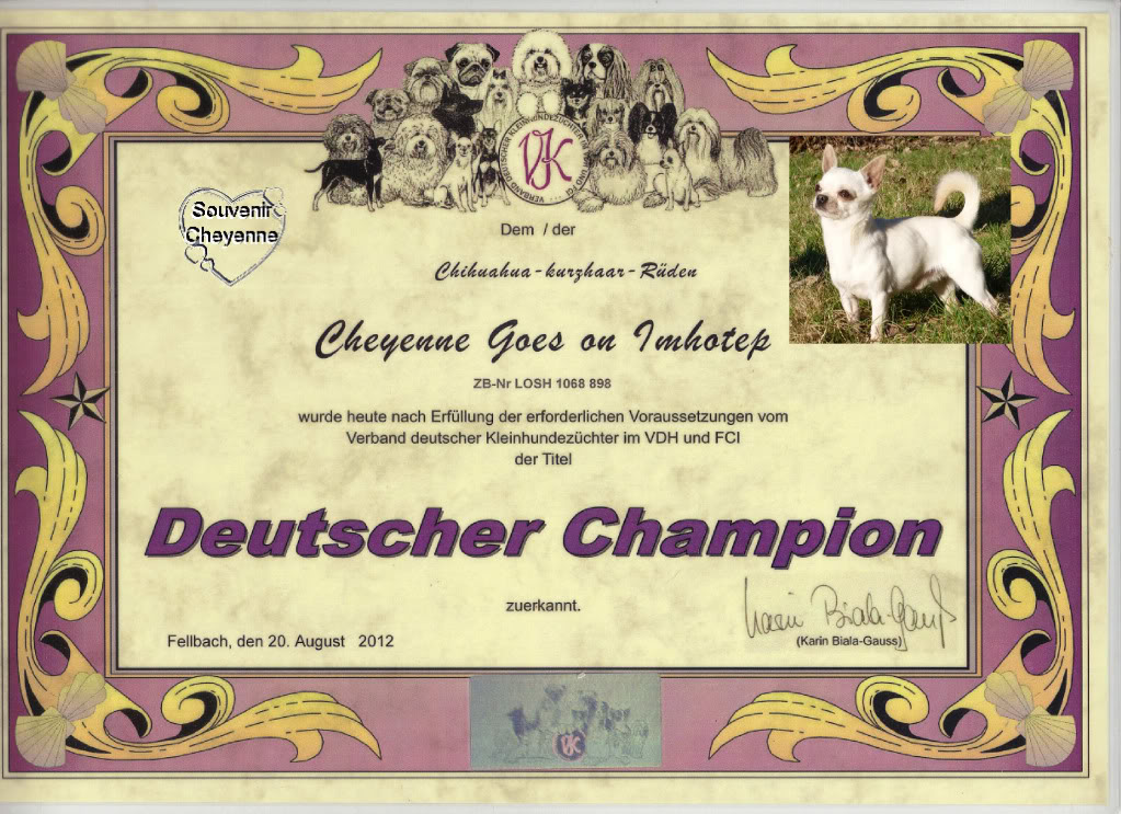 TITRES Champions   GermanCHImhotepmail_zps3da99cbe