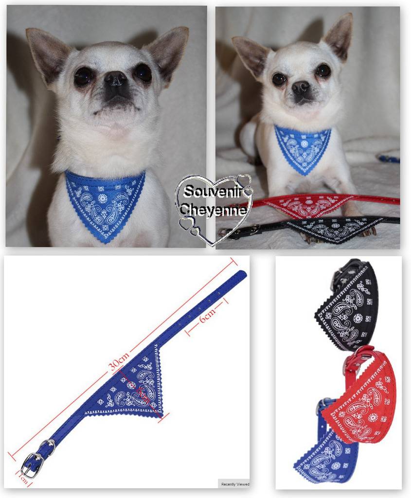 Colliers bandana's Colliers%20bandanas%20A_zpsttyecj2n