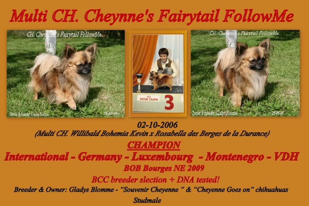 Multi CH. Cheyenne's Fairytail FollowMe 2006-10-02FollowMe_zps141acc0f