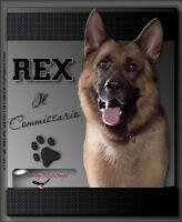 Il Commissario Rex  6 WHARex03rid