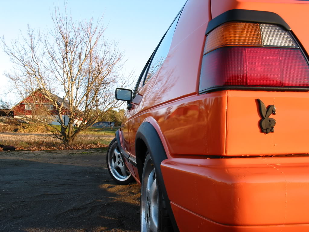 Thalberg's vw Golf II GL IMG_0431