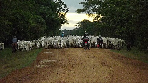 Las Bizcachas por Bolivia 2013 - Página 4 61_zpsc97c8e1f