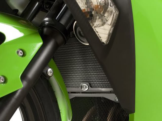 Rossi ke Kawasaki! :D - Page 2 RadiatorGuard_zps9df55d89