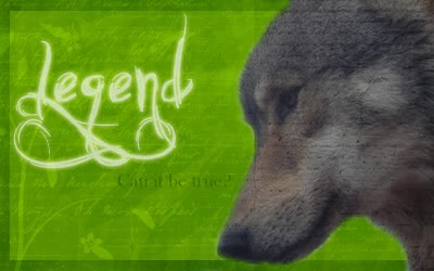 Banner, Signaturen, Header fr andere Foren BildLegende2Kopie