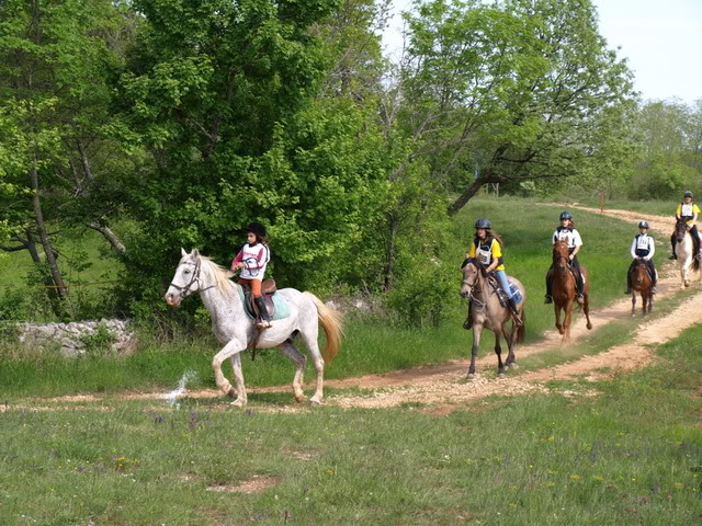 Polaganje za licencu 20090509_477