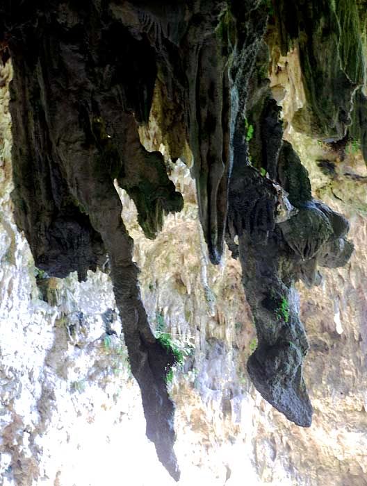 Wisata Bersejarah : Gua Liang Bua, NTT 24-6