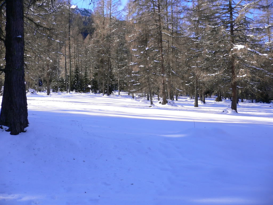 San Candido/Innichen - Hochpustertal 2012 P1070200