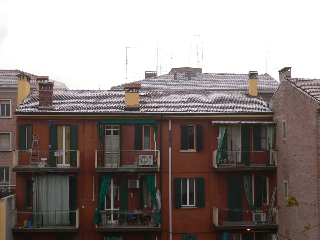 Neve chimica a Bologna 19 Gennaio 2012 P1070245