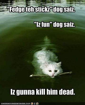 LolCats, post them here. Funny-pictures-cat-will-kill-dog