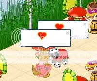 Dose darn webkinz! Ohhhh