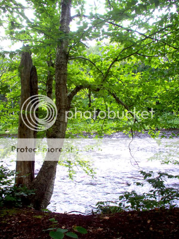 Parcour la riviere du Diable LaDiable1034