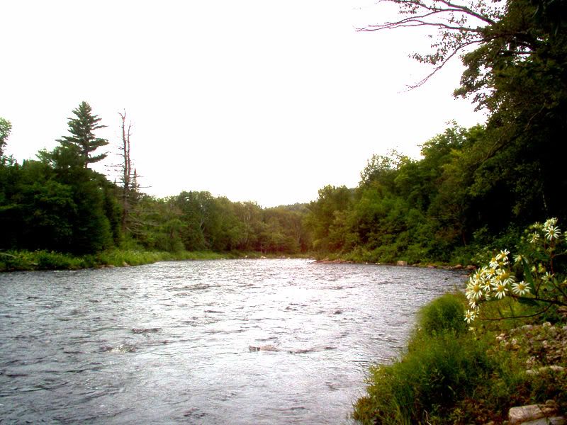 Parcour la riviere du Diable LaDiable1038