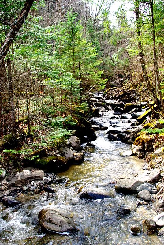 Parcour la rivière Nicolet Nicolet035