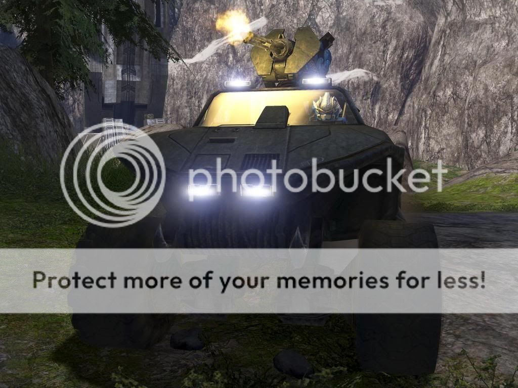 Photos in game Nantounywarthog