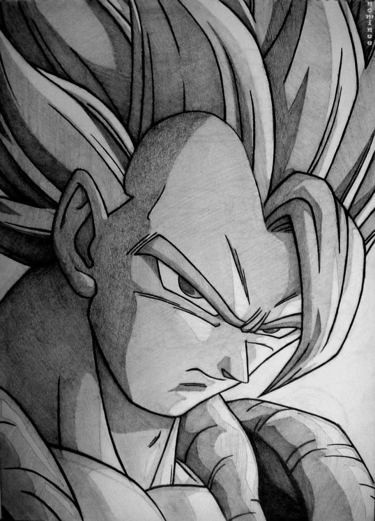 Gogeta :X  Dragon_ball_Gogeta_by_nominee84