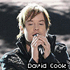 David Cook