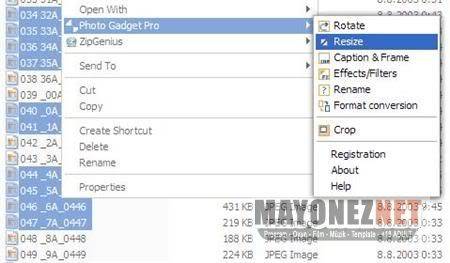 Photo Gadget Pro 2.4 FuLL [Sa TkLa-Resim DzenLe] Rightclick