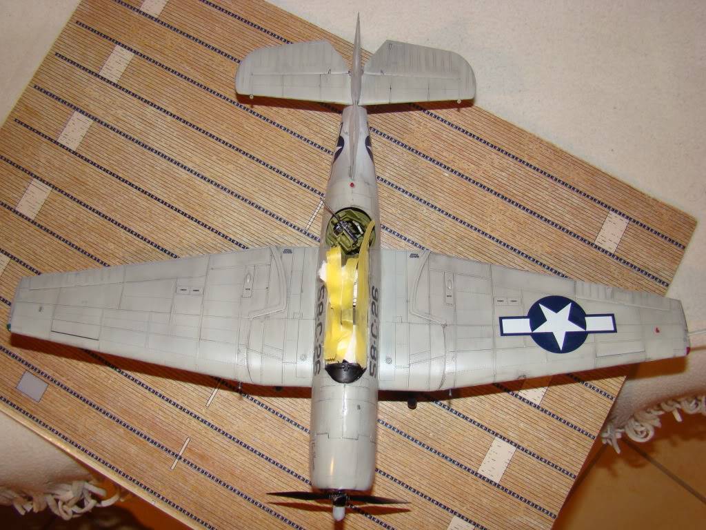 TBF Avenger DSC07016