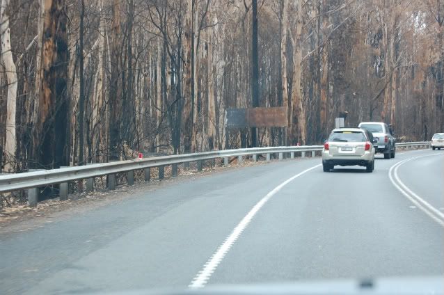 Melba Hwy fire pics Mar 09 Melbahwy22-2