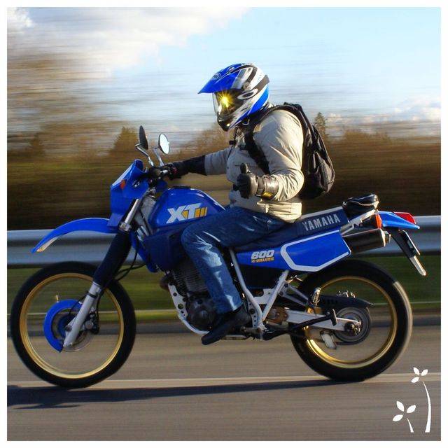 Concours de Mars (ou+) 2015 : "Votre moto sur une photo ..." - Page 2 05%20DSC25944s_zpsiobdxal1