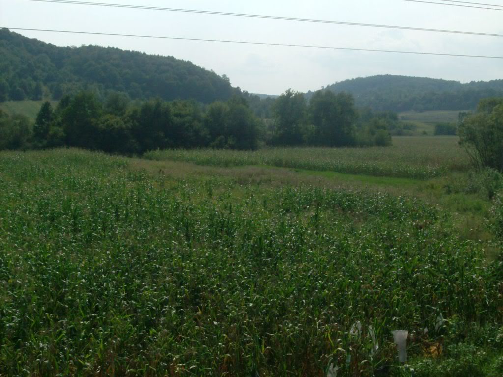 Babeni - Alunu 17.08.2009 HPIM0944