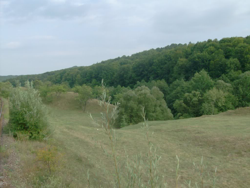 Babeni - Alunu 17.08.2009 HPIM1110