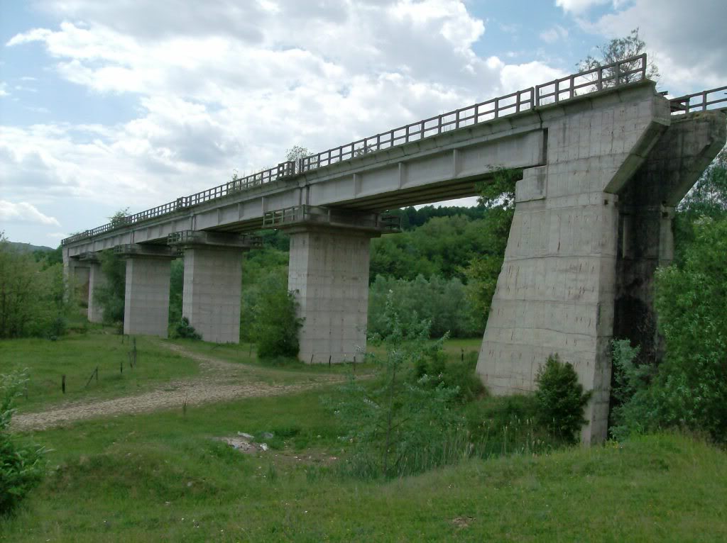 Viaducte din Romania DSCNO039