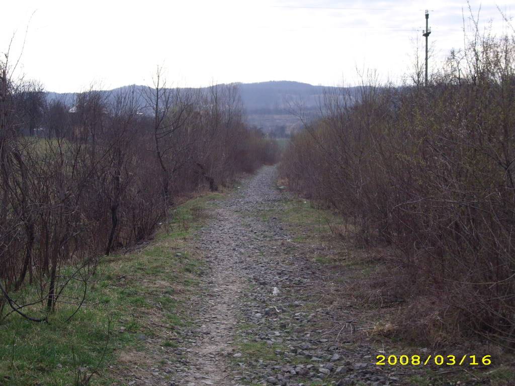 Excursie Ramnicu Valcea - Blidari (pe calea ferata Valcea - Valcele) IMG_1508